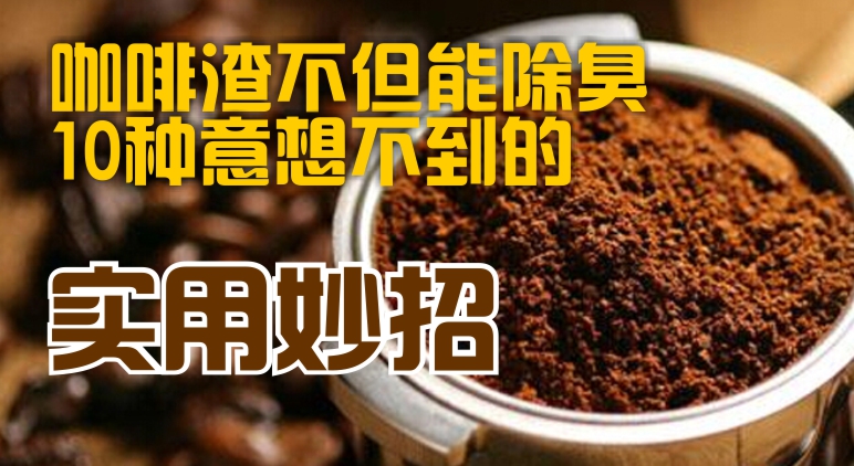 coffee 772